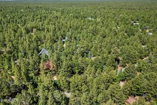 4872 Drifting Snow Loop, Pinetop, AZ 85935 - Photo 32
