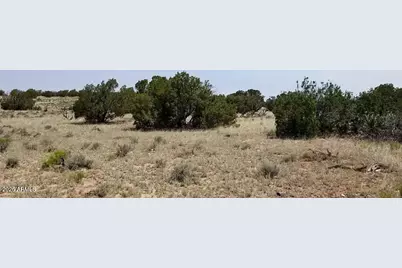 234 County Rd N6371 -- #-, Saint Johns, AZ 85936 - Photo 8