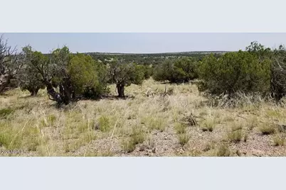 234 County Rd N6371 -- #-, Saint Johns, AZ 85936 - Photo 12
