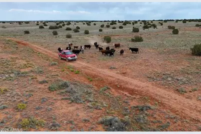 100 S Duck Lake Road #-, Heber, AZ 85928 - Photo 10