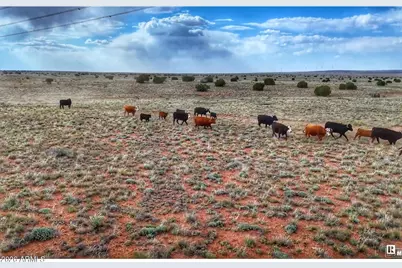 100 S Duck Lake Road #-, Heber, AZ 85928 - Photo 1