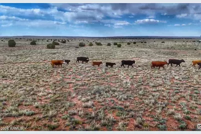 100 S Duck Lake Road #-, Heber, AZ 85928 - Photo 8