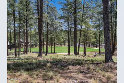 2541 E La Serena Drive #280, Flagstaff, AZ 86005 - Photo 6