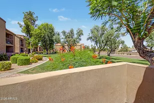 8260 E Arabian Trail, Scottsdale, AZ 85258 - Photo 12