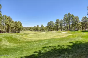 3487 Bear Howard, Flagstaff, AZ 86005 - Photo 72