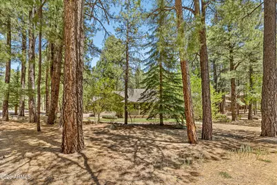3487 Bear Howard --, Flagstaff, AZ 86005 - Photo 58