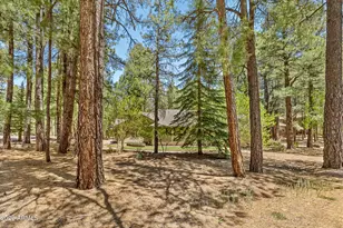 3487 Bear Howard, Flagstaff, AZ 86005 - Photo 58