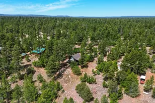 2433 Mesa Dr, Happy Jack, AZ 86024 - Photo 32