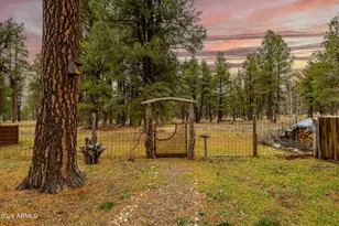 419 Kiowa, Flagstaff, AZ 86005 - Photo 6