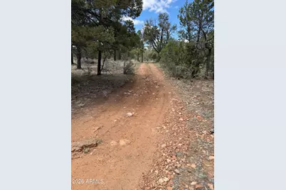 1270 Green Ridge Drive, Happy Jack, AZ 86024 - Photo 6