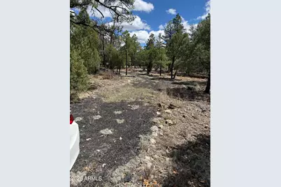 1226 Green Ridge Drive #80, Happy Jack, AZ 86024 - Photo 6