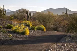 2121 W Sonoran Desert Dr, Phoenix, AZ 85085 - Photo 8