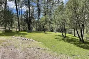 7816 W Forest Service Rd, Young, AZ 85554 - Photo 44