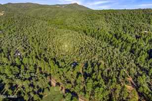 7816 W Forest Service Rd, Young, AZ 85554 - Photo 44