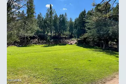 7816 W Forest Service Road #200, Young, AZ 85554 - Photo 40