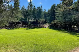 7816 W Forest Service Rd, Young, AZ 85554 - Photo 40