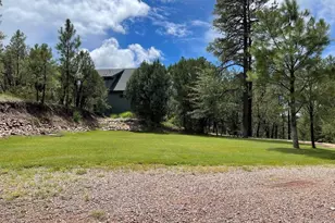 7816 W Forest Service Rd, Young, AZ 85554 - Photo 38