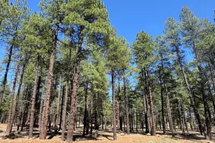 9615 Ranch at The Peaks Wy, Flagstaff, AZ 86001 - Photo 1