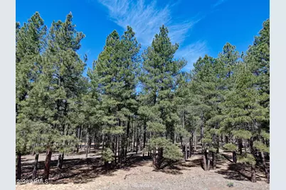 9615 Ranch At The Peaks Way #59, Flagstaff, AZ 86001 - Photo 8