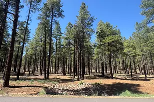 7690 W Taylor Springs Ln, Flagstaff, AZ 86001 - Photo 1