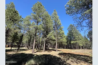 8380 Vista Peak Way #68, Flagstaff, AZ 86001 - Photo 6
