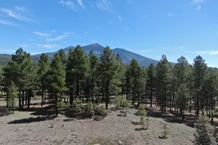 8252 Vista Peak Wy, Flagstaff, AZ 86001 - Photo 1