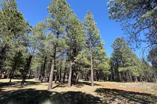 8252 Vista Peak Wy, Flagstaff, AZ 86001 - Photo 1