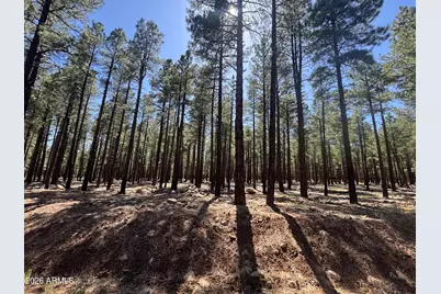 9576 Ranch At The Peaks Way #66, Flagstaff, AZ 86001 - Photo 8