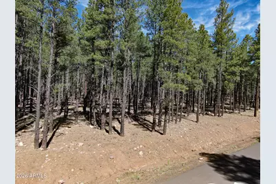 9576 Ranch At The Peaks Way #66, Flagstaff, AZ 86001 - Photo 6