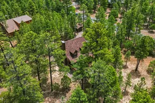 4075 Horseshoe Dr, Happy Jack, AZ 86024 - Photo 44