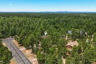4075 Horseshoe Dr, Happy Jack, AZ 86024 - Photo 48