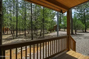 4075 Horseshoe Dr, Happy Jack, AZ 86024 - Photo 34
