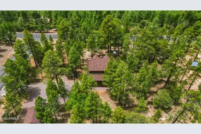 4075 Horseshoe Drive, Happy Jack, AZ 86024 - Photo 46