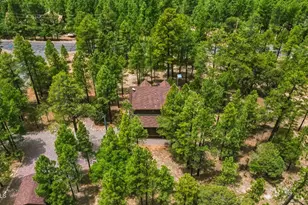 4075 Horseshoe Dr, Happy Jack, AZ 86024 - Photo 46