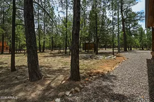 4075 Horseshoe Dr, Happy Jack, AZ 86024 - Photo 40