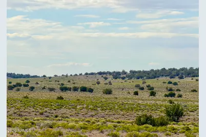 10715 High Butte Drive #1018, Williams, AZ 86046 - Photo 4