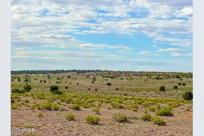 10715 High Butte Drive #1018, Williams, AZ 86046 - Photo 14