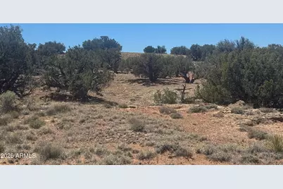 Lot 261 Woodridge Ranch -- #261, Saint Johns, AZ 85936 - Photo 4