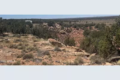 Lot 261 Woodridge Ranch -- #261, Saint Johns, AZ 85936 - Photo 22