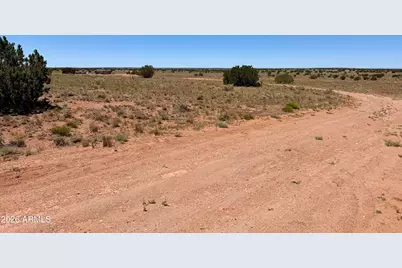 2659 Duck Lake Road #-, Heber, AZ 85928 - Photo 4