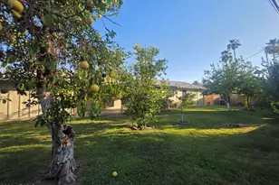 342 W Diana Ave, Phoenix, AZ 85021 - Photo 20