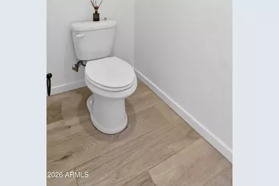 2141 E Flamingo Way, Gilbert, AZ 85297 - Photo 60