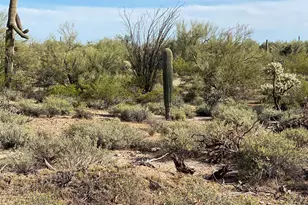 0 N Hexcel Rd, Florence, AZ 85132 - Photo 1