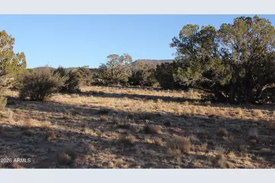 Wrangler R Wrangler Ridge Rd -- #301118203, Seligman, AZ 86337 - Photo 2
