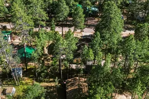 8438 W Lufkin Dr, Pine, AZ 85544 - Photo 48