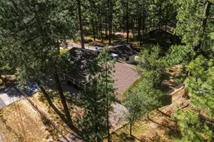 8438 W Lufkin Dr, Pine, AZ 85544 - Photo 46