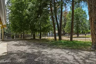 8438 W Lufkin Dr, Pine, AZ 85544 - Photo 42