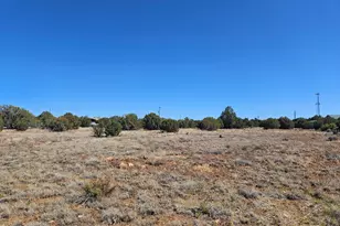 8423 Navajo Dr, Show Low, AZ 85901 - Photo 1