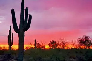 30920 N Sunrise Ranch Rd, Cave Creek, AZ 85331 - Photo 52
