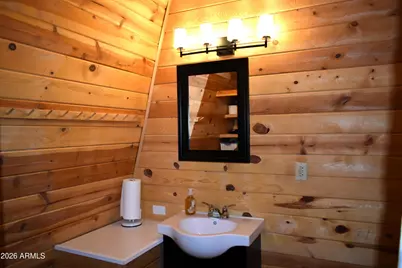2509 Deer Ridge Drive, Happy Jack, AZ 86024 - Photo 24